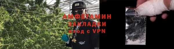 спайс Пересвет