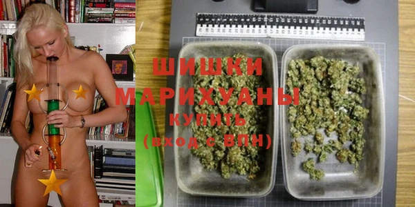 шишки Армянск