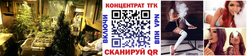 ТГК THC oil  блэк спрут зеркало  Светлый  наркошоп 