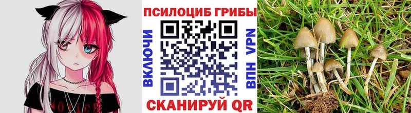 hydra зеркало  Светлый  Галлюциногенные грибы Psilocybe  купить  цена 
