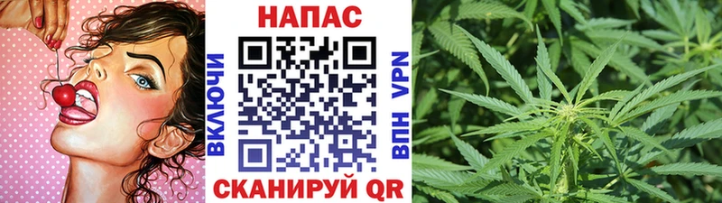 где купить наркоту  Светлый  Шишки марихуана индика 